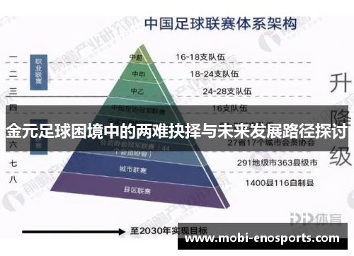 金元足球困境中的两难抉择与未来发展路径探讨