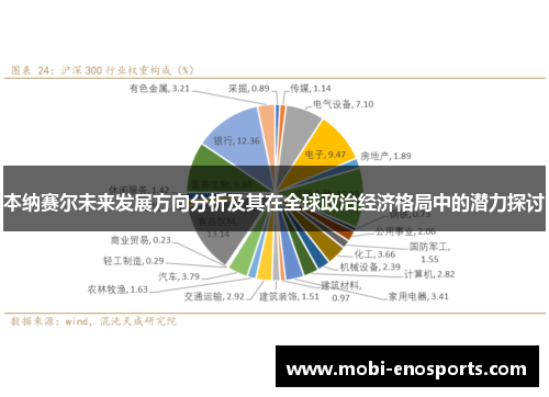 本纳赛尔未来发展方向分析及其在全球政治经济格局中的潜力探讨