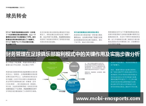 财务管理在足球俱乐部盈利模式中的关键作用及实施步骤分析