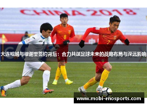 大连鲲城与穆谢奎签约背后：合力共谋足球未来的战略布局与深远影响