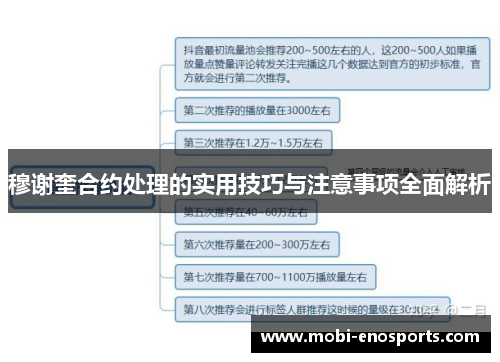 穆谢奎合约处理的实用技巧与注意事项全面解析