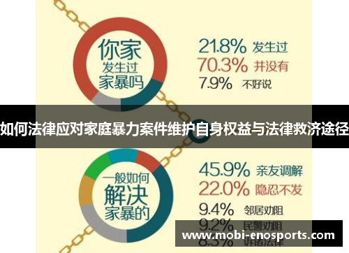 如何法律应对家庭暴力案件维护自身权益与法律救济途径