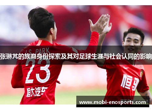 张琳芃的族裔身份探索及其对足球生涯与社会认同的影响