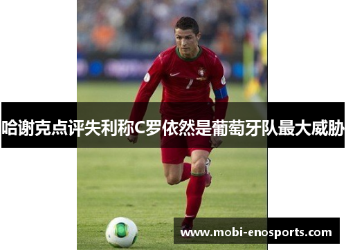 哈谢克点评失利称C罗依然是葡萄牙队最大威胁