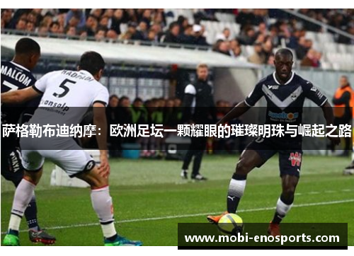 萨格勒布迪纳摩：欧洲足坛一颗耀眼的璀璨明珠与崛起之路